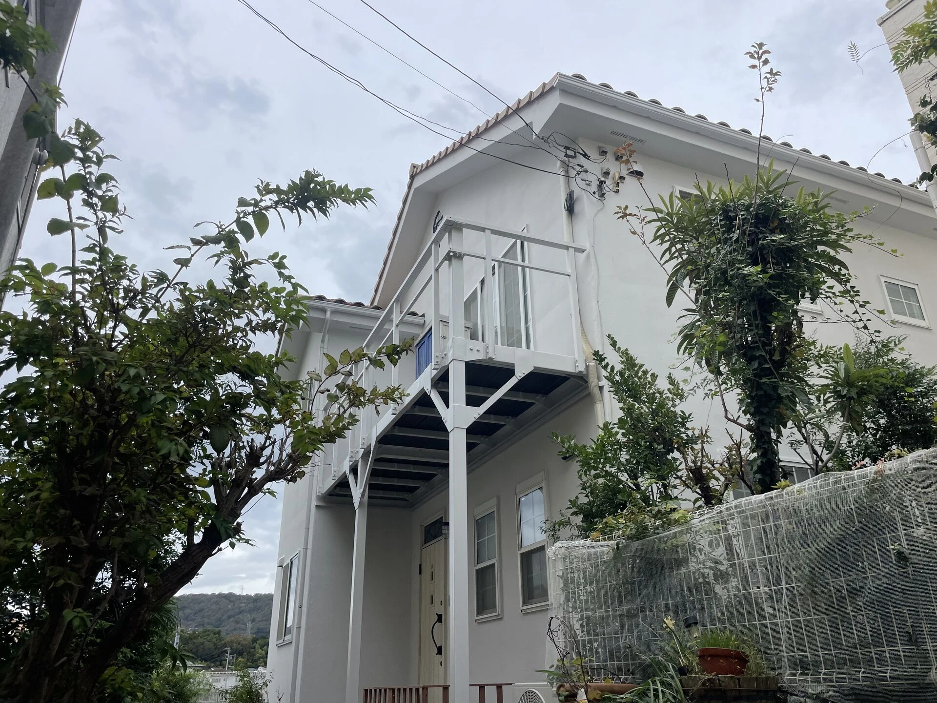 IMG_2174